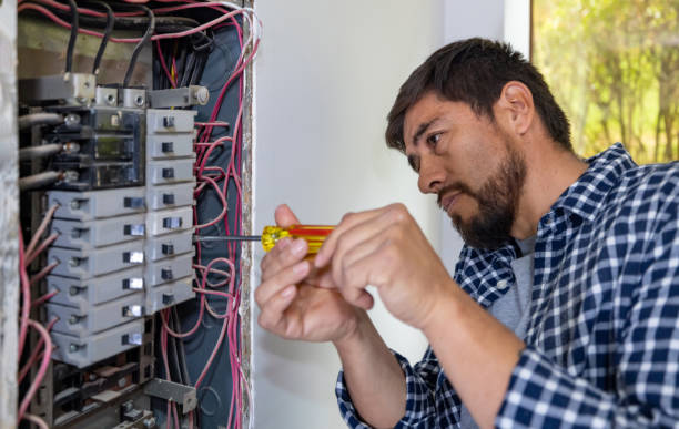 Best Electrical Panel Upgrades  in Culpeper, VA